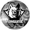 FOXGUME Ⓥ avatar